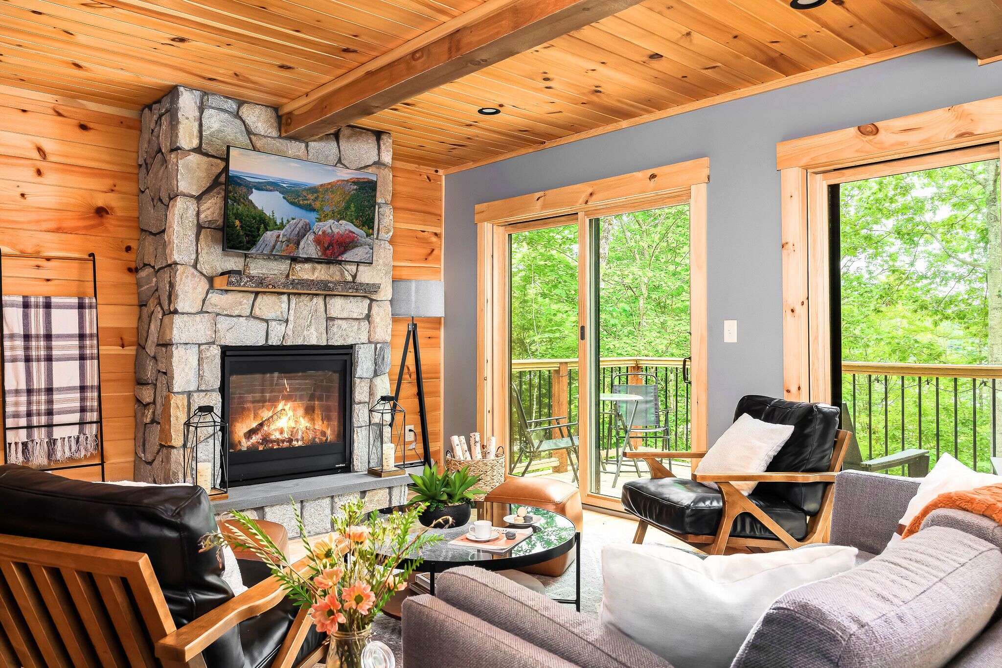 Smart TV, fireplace, video games