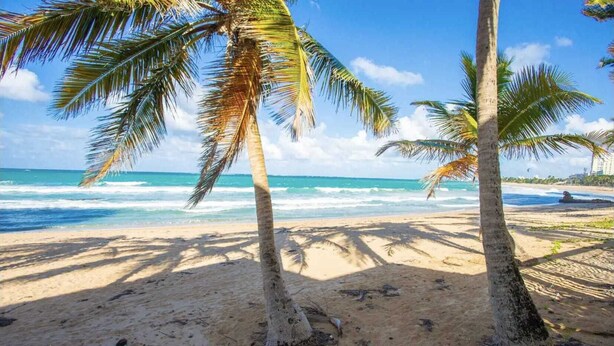 Een strand met palmbomen en golven.