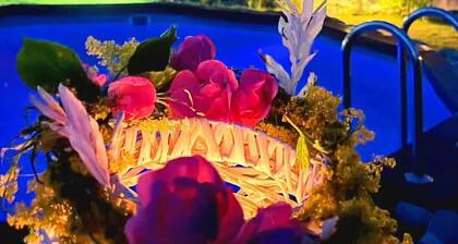 Ohana Boutique Hotel - Family Quadruple Room