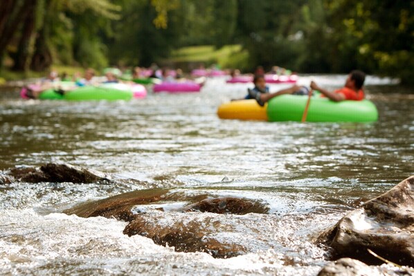 People floating on water in tubes.