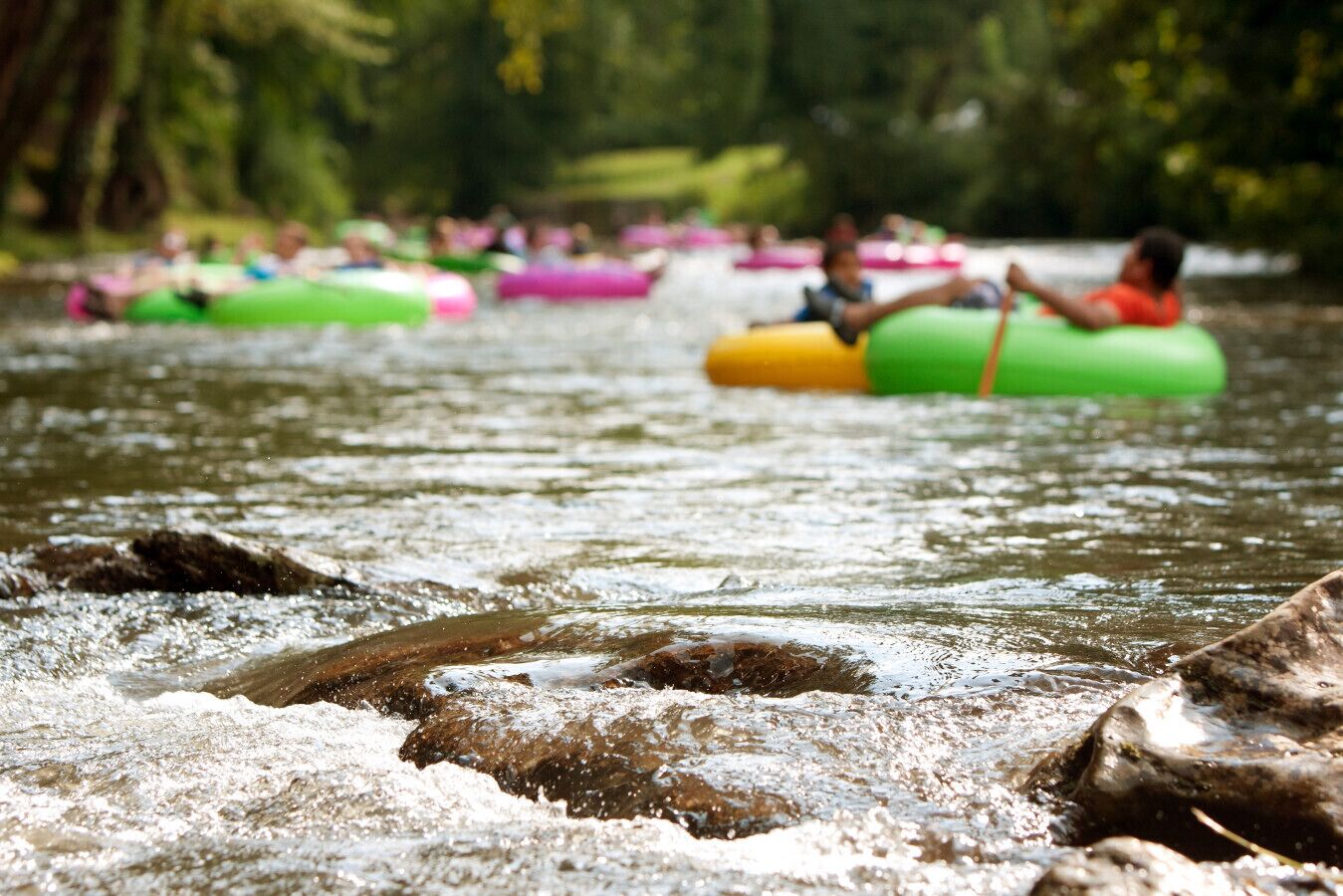 People floating on water in tubes.