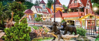 Bavarian Brook Unit 9