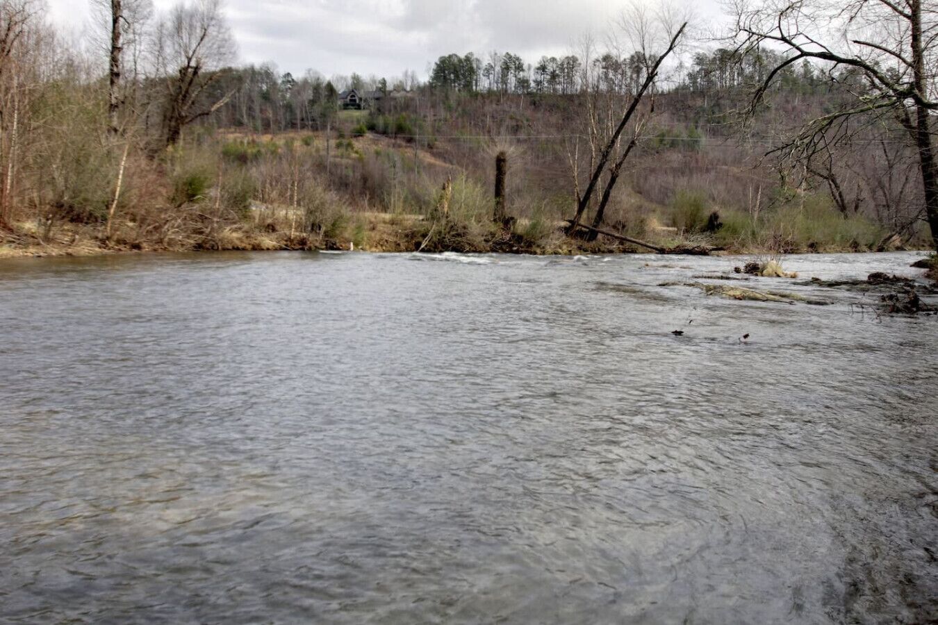 A river with a forested hillside in the background.