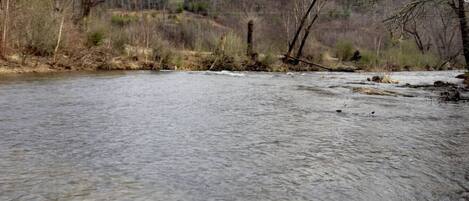 A river with a forested hillside in the background.