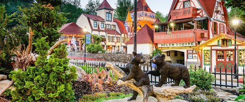 Bavarian Brook Unit 3