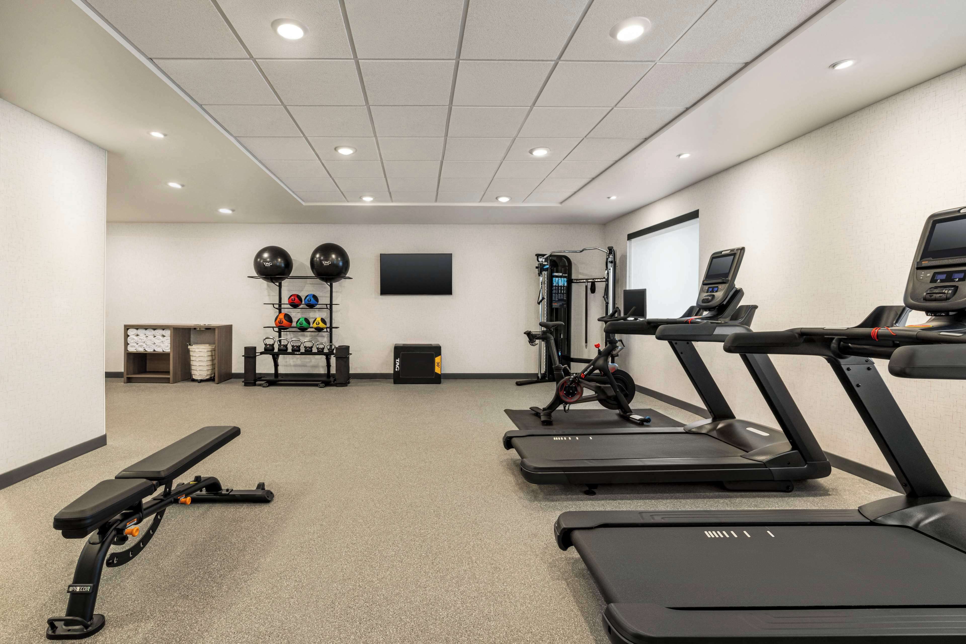 A gym with treadmills, a bench, and various exercise equipment.