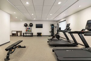 A gym with treadmills, a bench, and various exercise equipment.