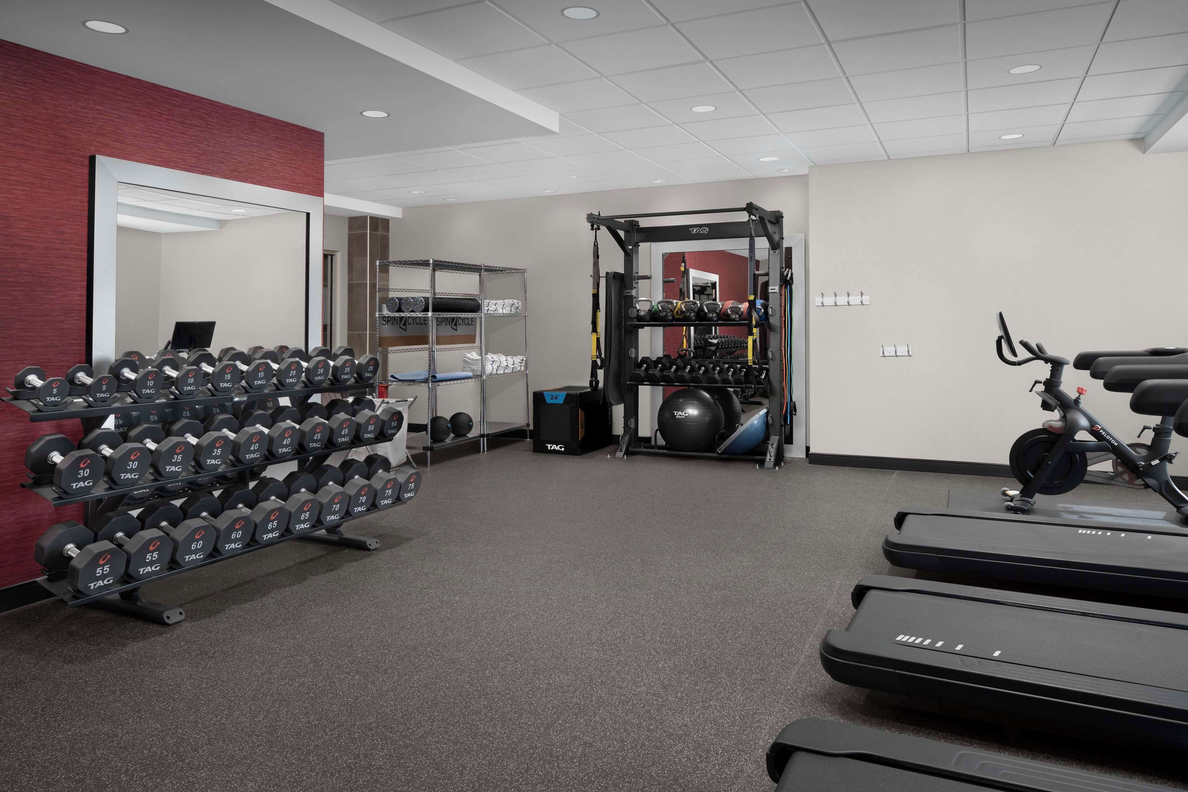 Un gimnasio con cintas de correr, mancuernas y una estructura para sentadillas.