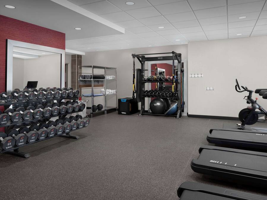 A gym with treadmills, dumbbells, and a squat rack.
