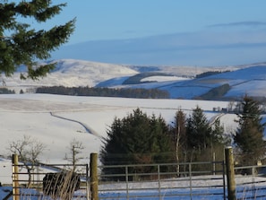 Miscellaneous - Luxury Tiny Home sleeps 2 with Hot Tub and private BBQ hut (Lauder)