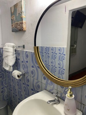 A bathroom with a white sink, a gold-framed mirror, a towel hanging on a rack, and a toilet paper holder. - Hostal Pochote  (León)