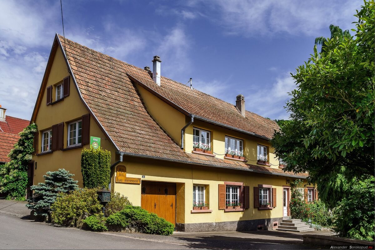 Image de profil de l’hôte