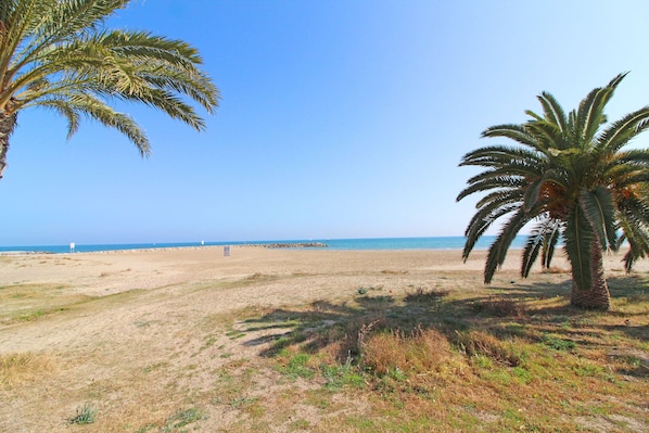 A beach with palm trees and a clear sky.