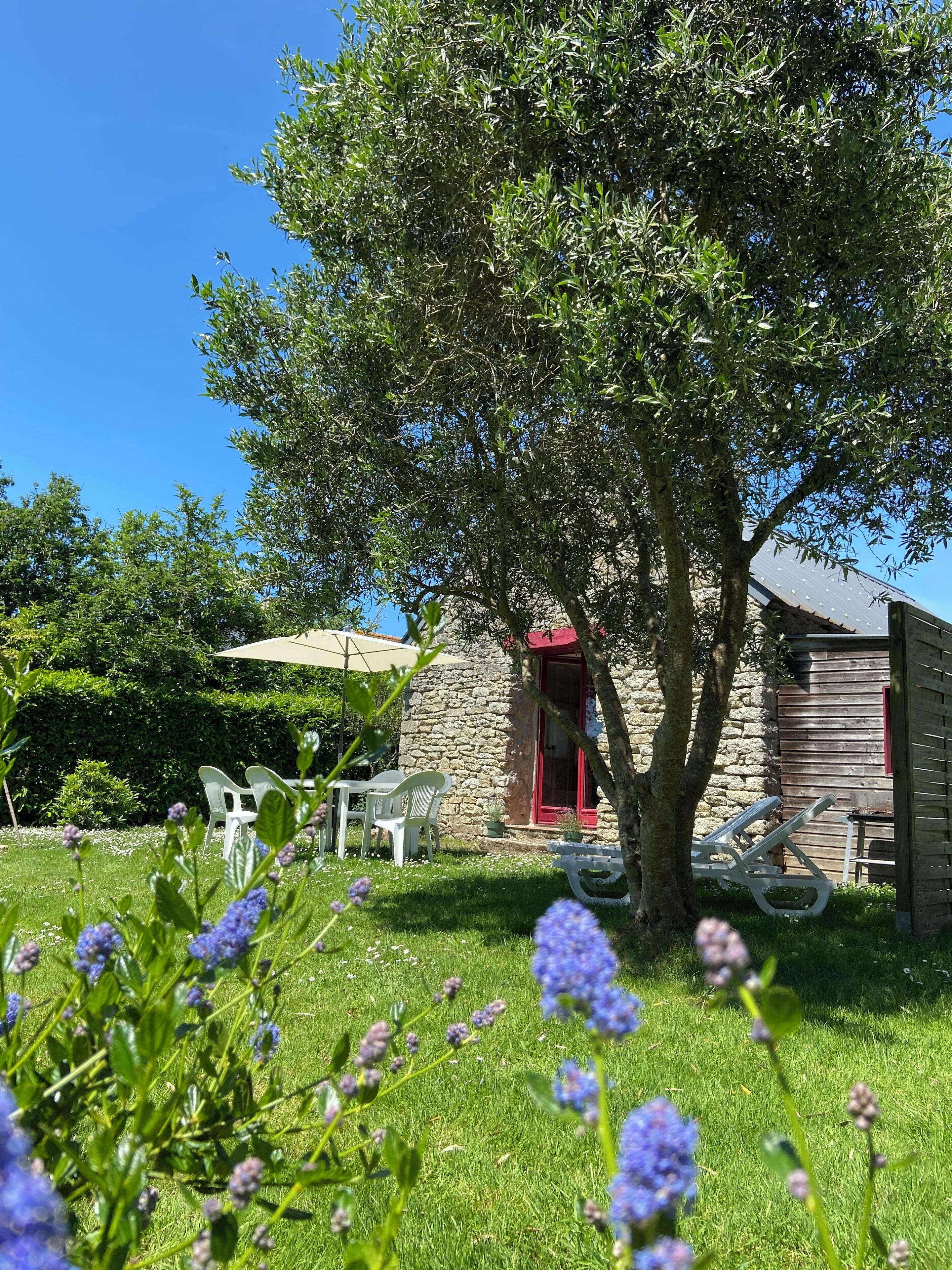 A stone building with a red door, surrounded by a grassy area with white plastic chairs and a table.