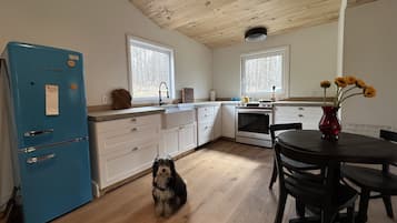 Kylskåp, ugn, spishäll och diskmaskin