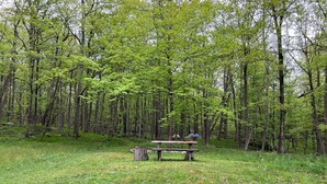Una mesa de picnic en un área boscosa con un banco y un cubo de basura cerca.