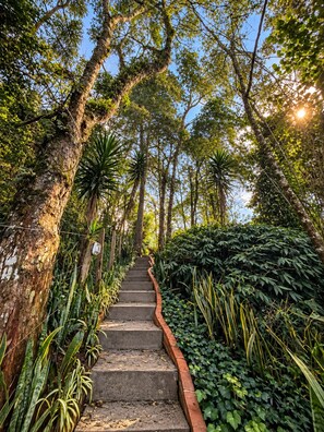 A staircase surrounded by dense foliage leading up to a higher elevation. - Smart Hotel Reserva Santo Antônio do Pinhal (Santo Antonio do Pinhal)