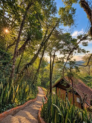A pathway leading to a building surrounded by lush vegetation and trees. - Smart Hotel Reserva Santo Antônio do Pinhal (Santo Antonio do Pinhal)