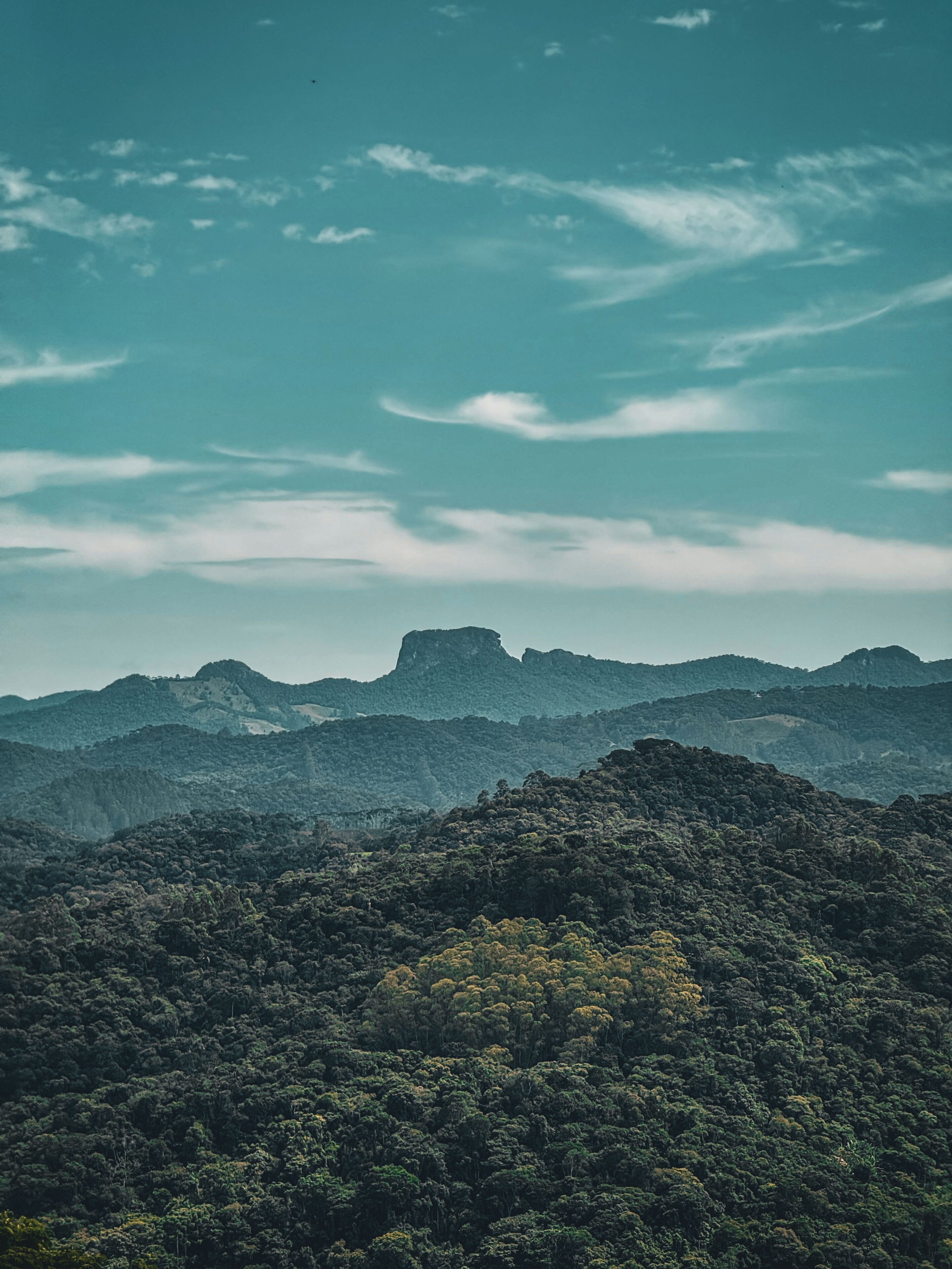 A mountainous landscape with dense forest coverage and a clear sky.