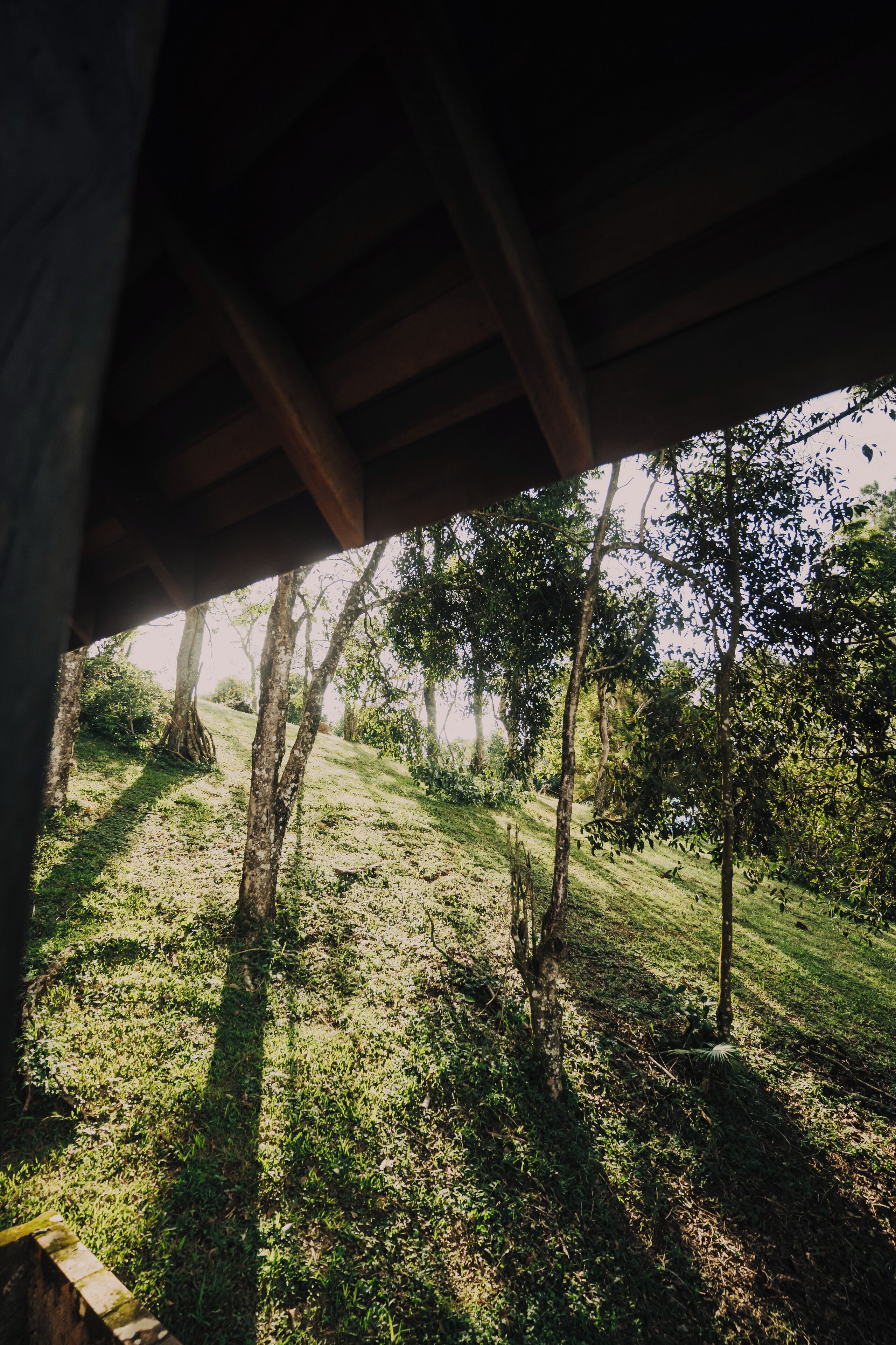 A view from under a wooden structure, overlooking a grassy area with trees.