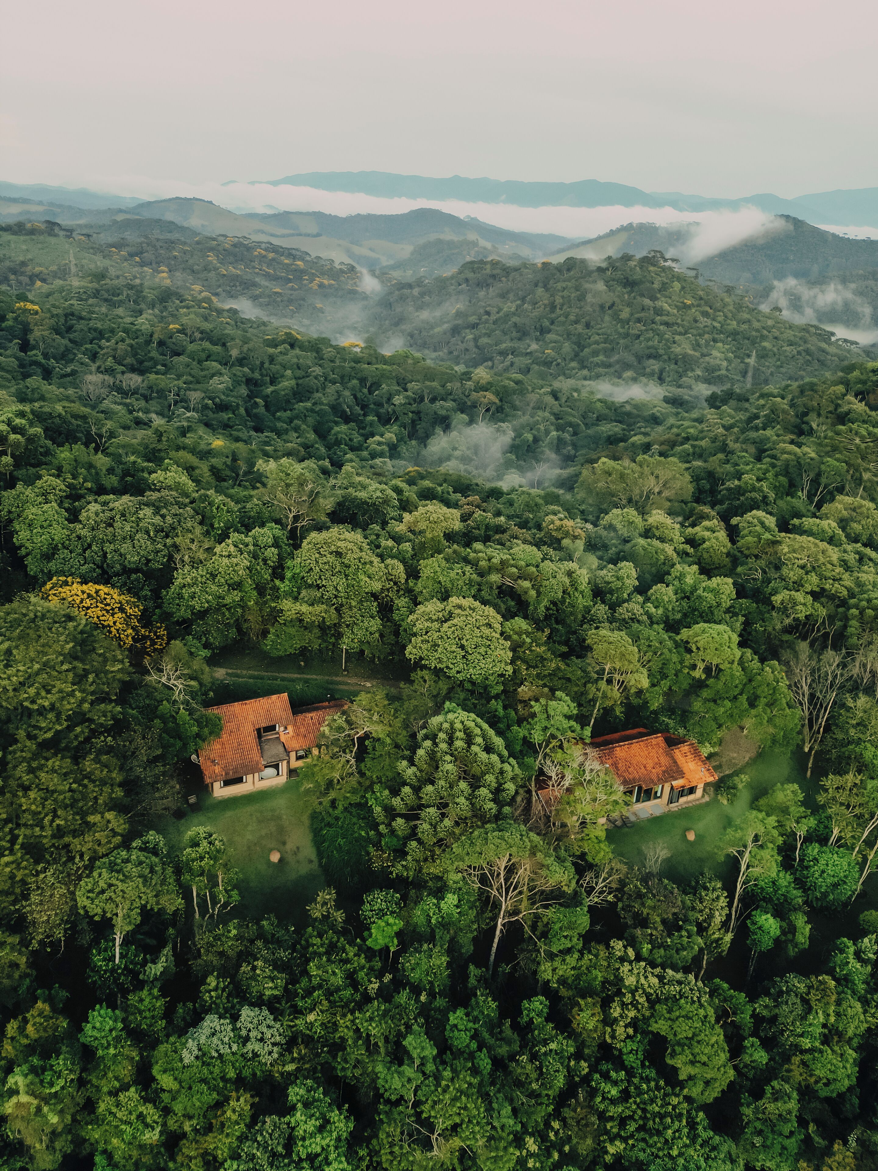 An aerial view of a house surrounded by dense forest, with visible structures and clearings.