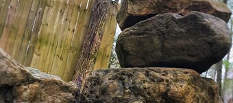 Raven's Nest: Serenity Awaits