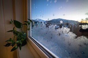 Een strijkplank/strijkijzer, gratis wifi, beddengoed