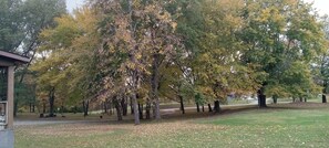 Property grounds - Campground, in the heart of the 2024 Solar Eclipse path, country setting w/ pond (Marion)