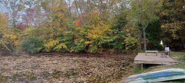 Property grounds - Campground, in the heart of the 2024 Solar Eclipse path, country setting w/ pond (Marion)