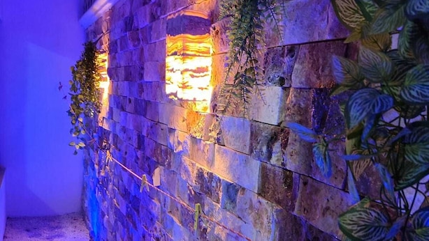 A narrow corridor with a brick wall adorned with greenery and illuminated by warm lighting. - Departamentos Chan Kiin (Valladolid)
