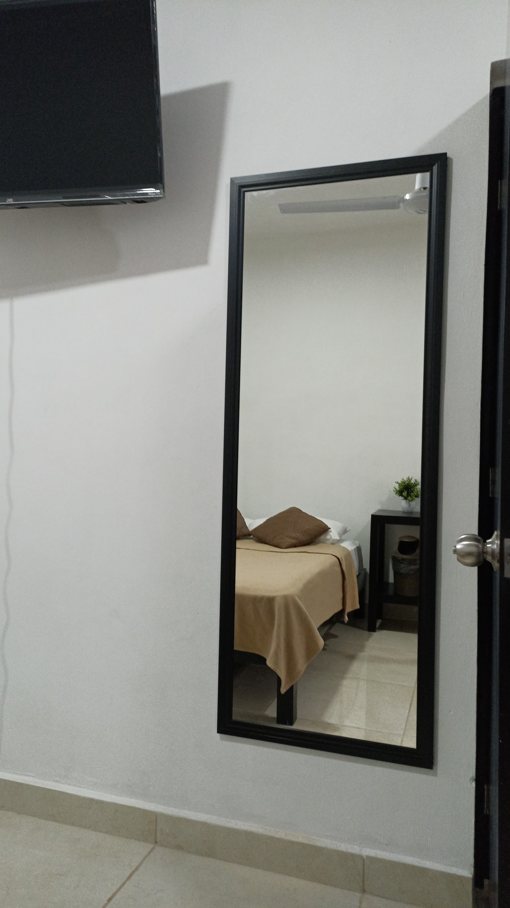 A room with a bed, a bedside table, a small potted plant, and a flat-screen TV mounted on the wall.