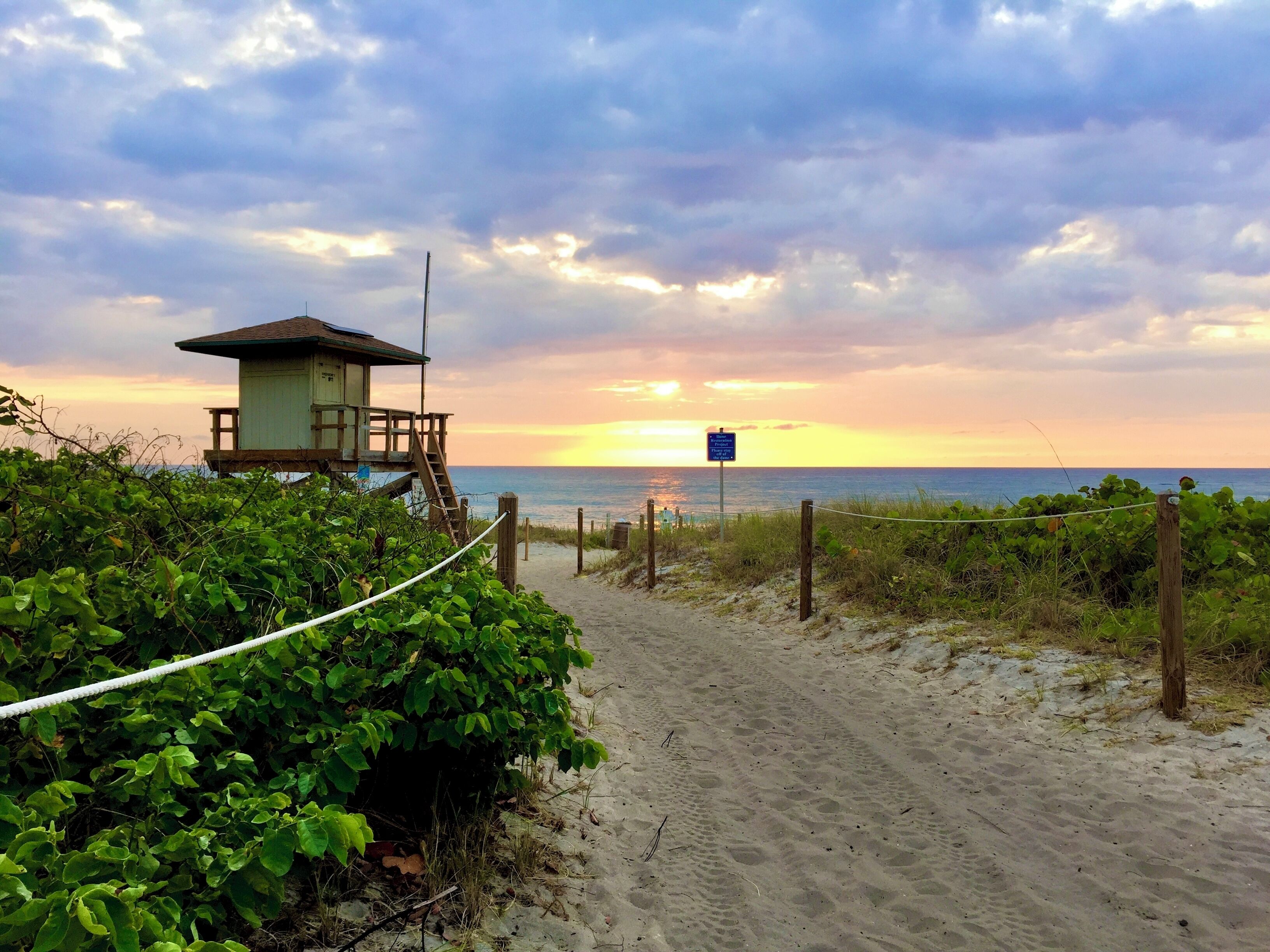 Sun-loungers, beach towels