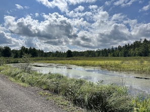 Een natuurlandschap met een waterpartij, dicht bos en een heldere lucht.