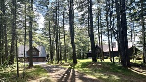 Zona boscosa amb una cabana i un edifici més gran, envoltada d'alzines altes i un camí de terra.