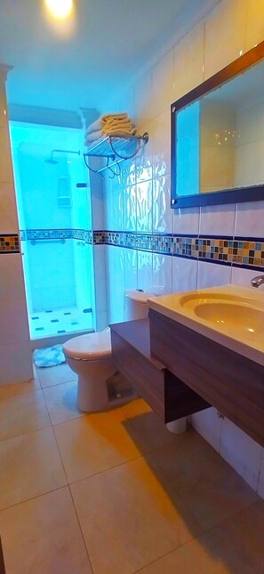 Regadera, bidet, toallas, papel de baño