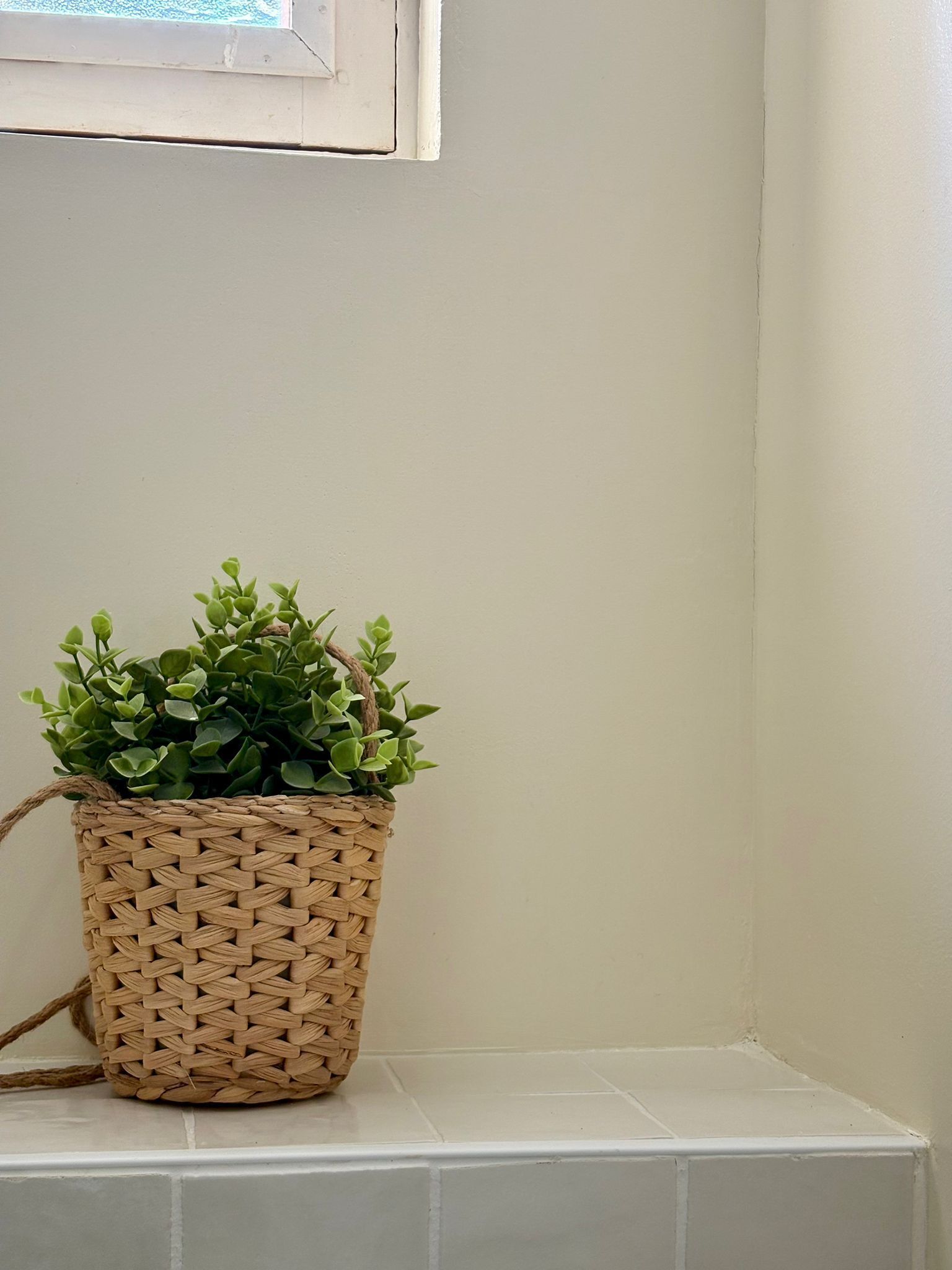 En vævet kurv med en plante på en hvid flisekant.