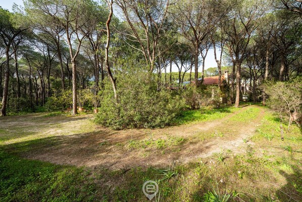 A natural outdoor area with trees and a dirt path. - Seaside Pineta Retreat (Pula)