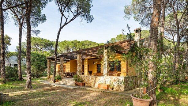 A rustic wooden structure with stone pillars, surrounded by trees and potted plants.