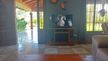 Televisión