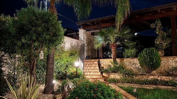 A nighttime garden with a stone pathway, various plants, and a wooden pergola.