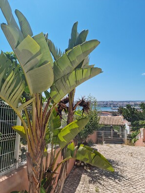 Property grounds - Serra e Mar Ferragudo (Ferragudo)