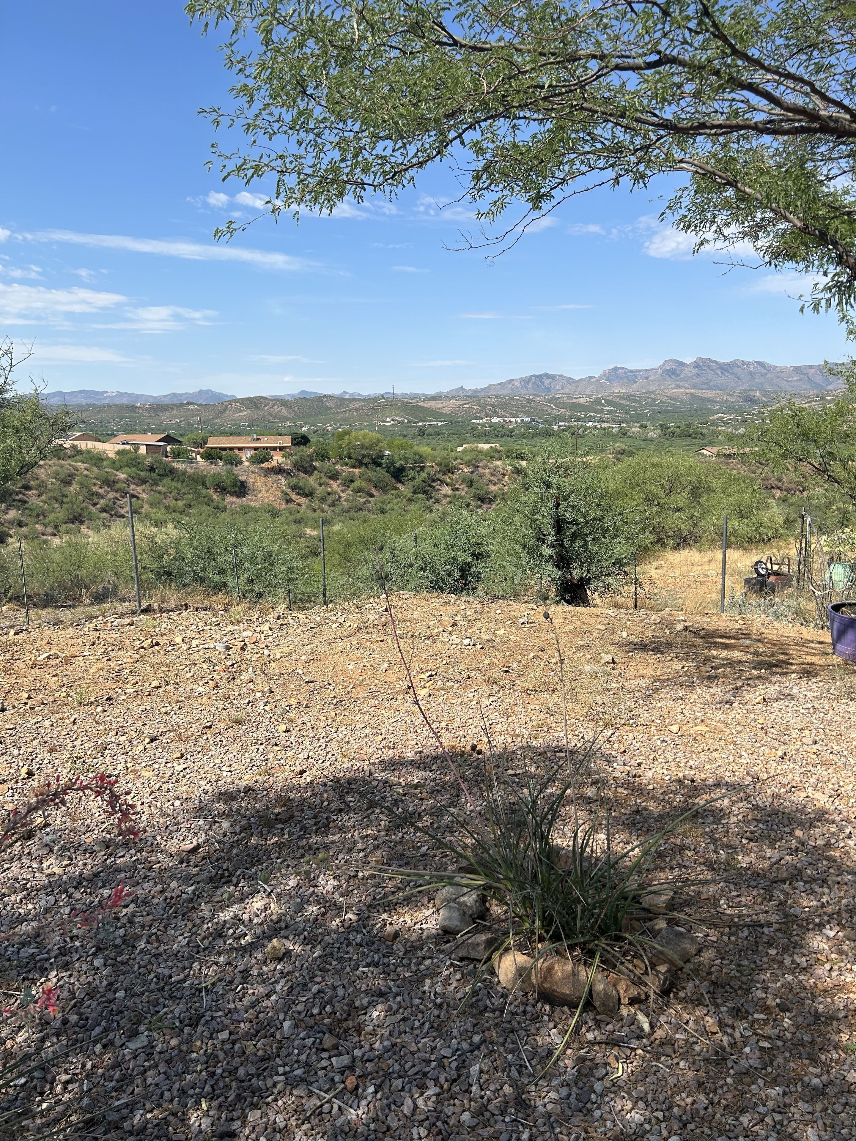 "Rio Rico Serenity: Your Ultimate Vacation Haven Awaits!" 