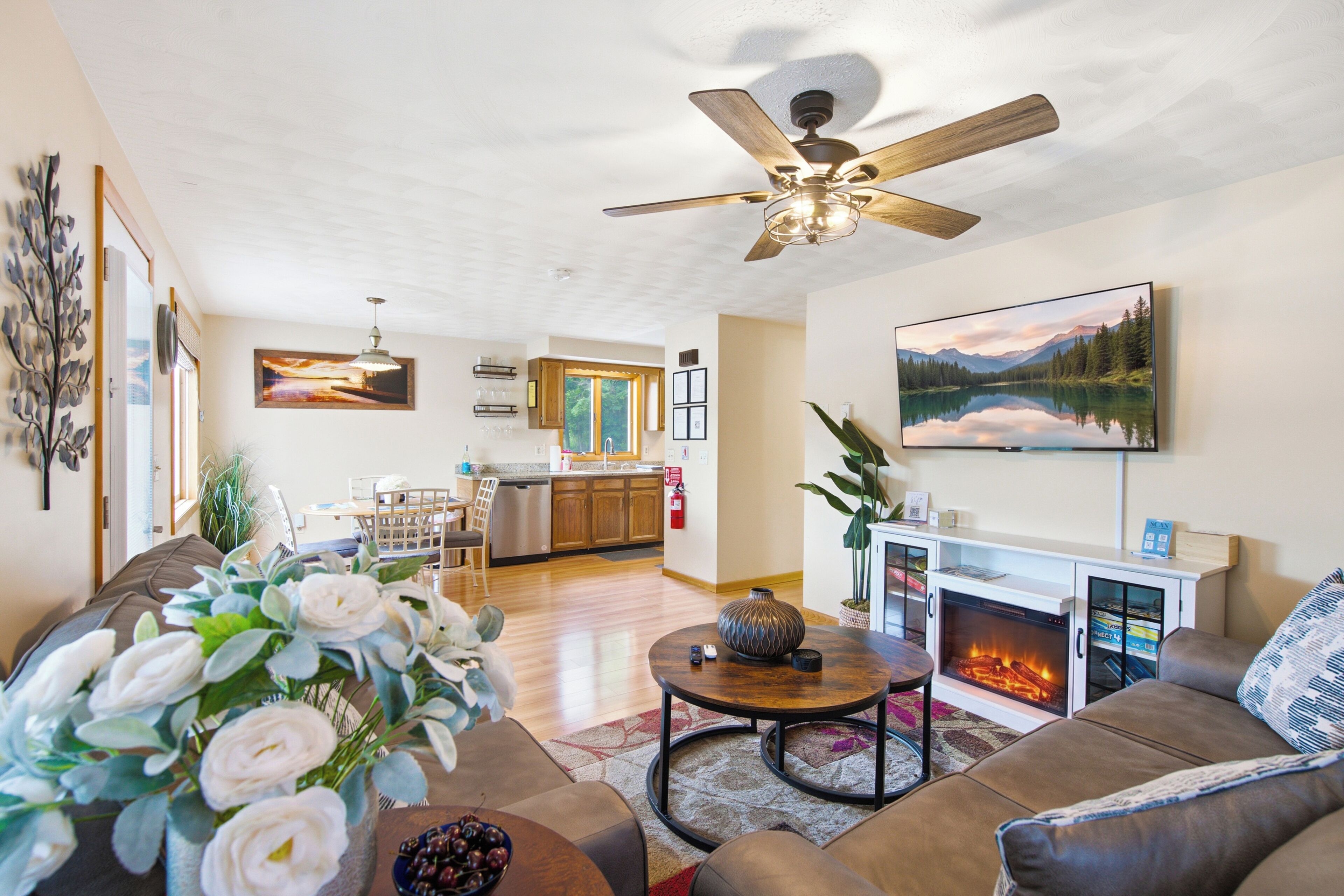 Smart TV, fireplace, books