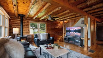 Smart TV, fireplace, books