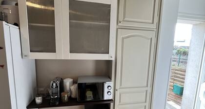 maison avec beau jardin et jacuzzi