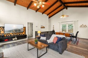 Smart TV, fireplace, books