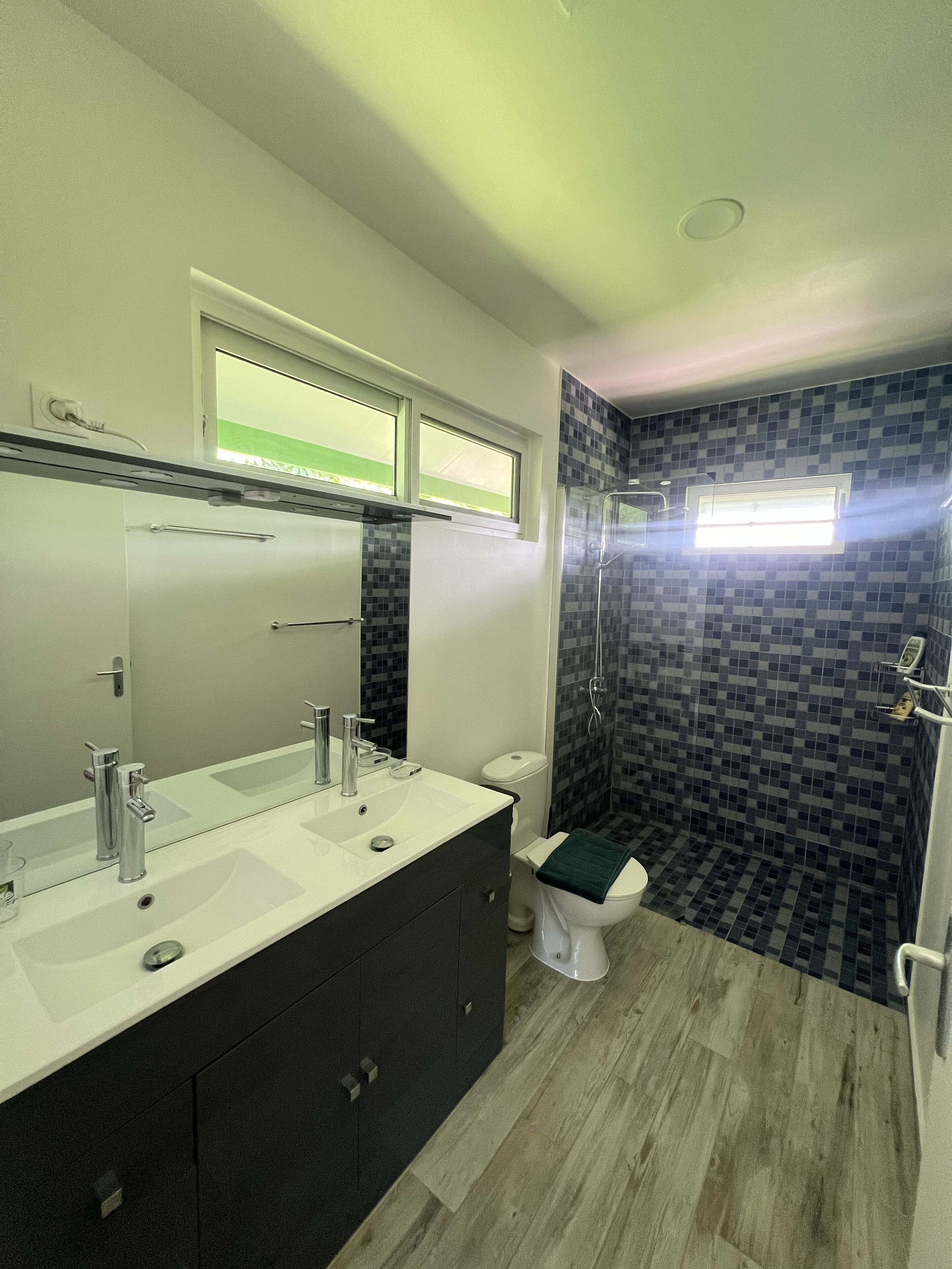 Shower, towels, toilet paper