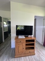 Televisión de pantalla plana