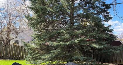 Walk to Lambeau! - Bart Starr 3 Bedroom house near Marquette Park
