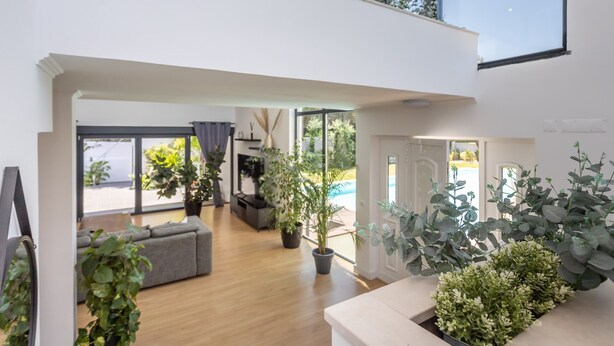 Un vaste espace de vie doté d’un plancher en bois, d’un canapé gris et de plantes en pot.